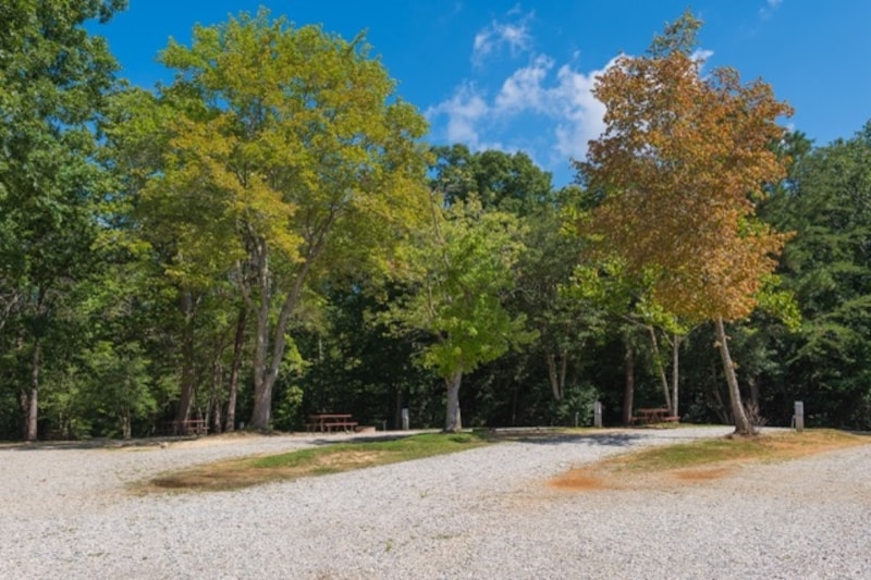 Preferred Premium with Patio Pull-Thru RV Site-1